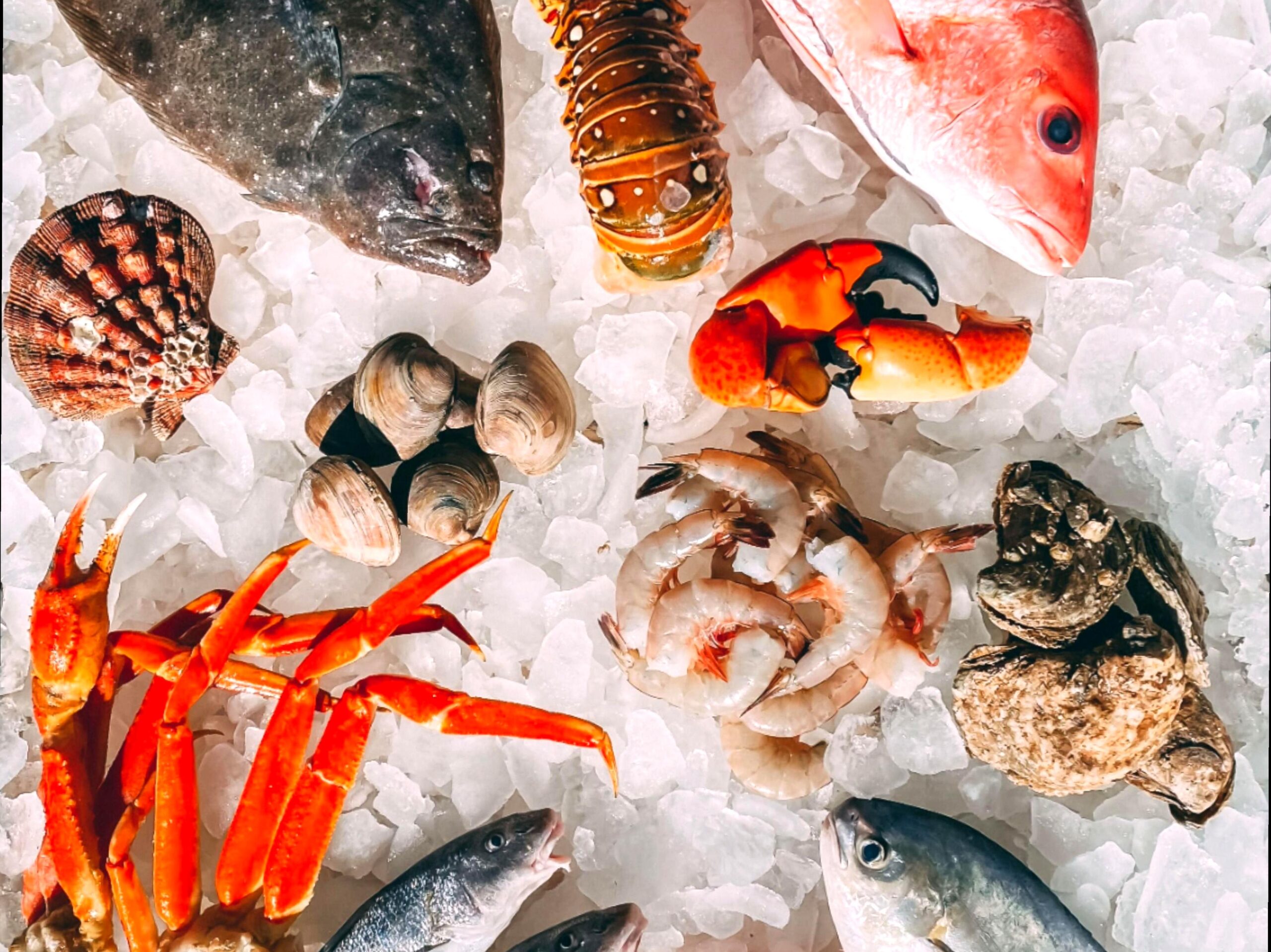 Relish Fresh Seafood at Exmouth's Festive Feast