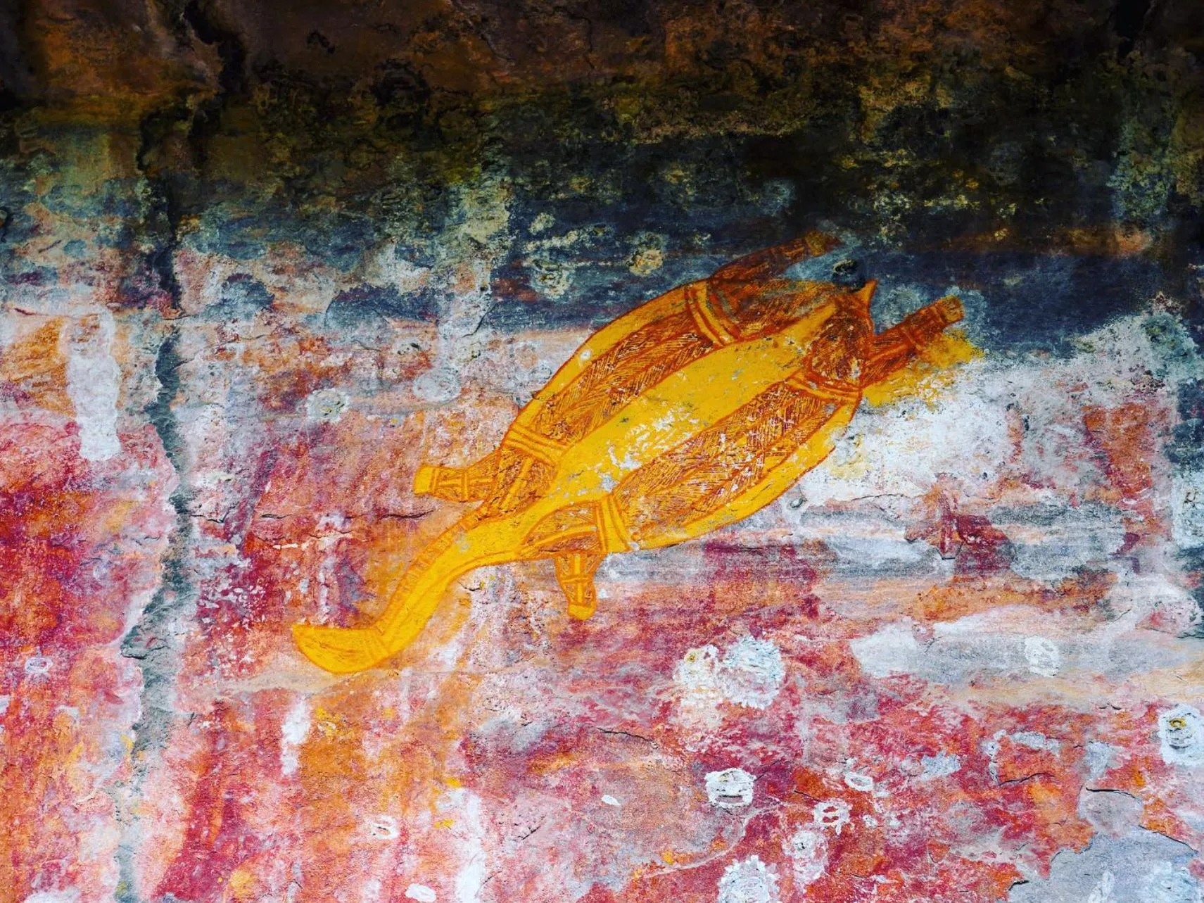 icydays | What Does ‘Kakadu’ Mean in Aboriginal Culture? icydays | What Does ‘Kakadu’ Mean in Aboriginal Culture?
