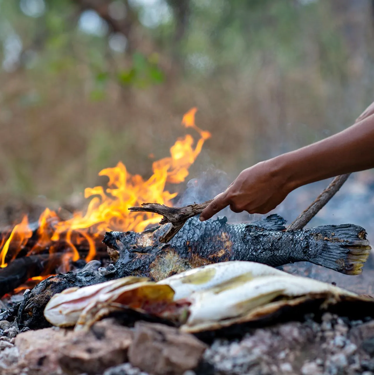 icydays | What Does ‘Kakadu’ Mean in Aboriginal Culture? icydays | What Does ‘Kakadu’ Mean in Aboriginal Culture?