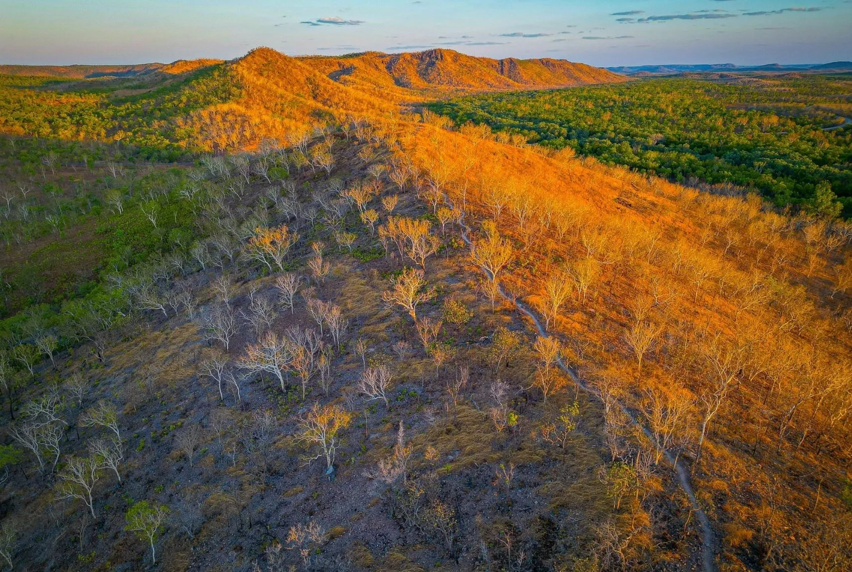 icydays | What Does ‘Kakadu’ Mean in Aboriginal Culture? icydays | What Does ‘Kakadu’ Mean in Aboriginal Culture?