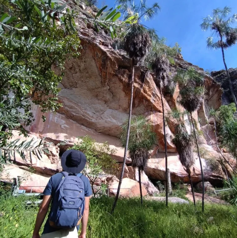 icydays | Where Is Kakadu National Park Located?