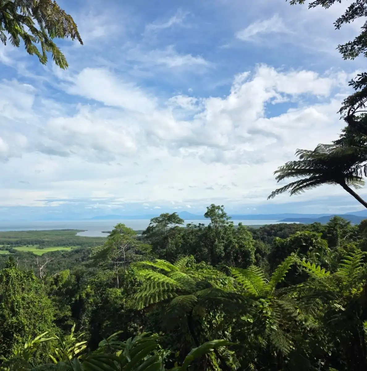 icydays | Escape To Kuranda