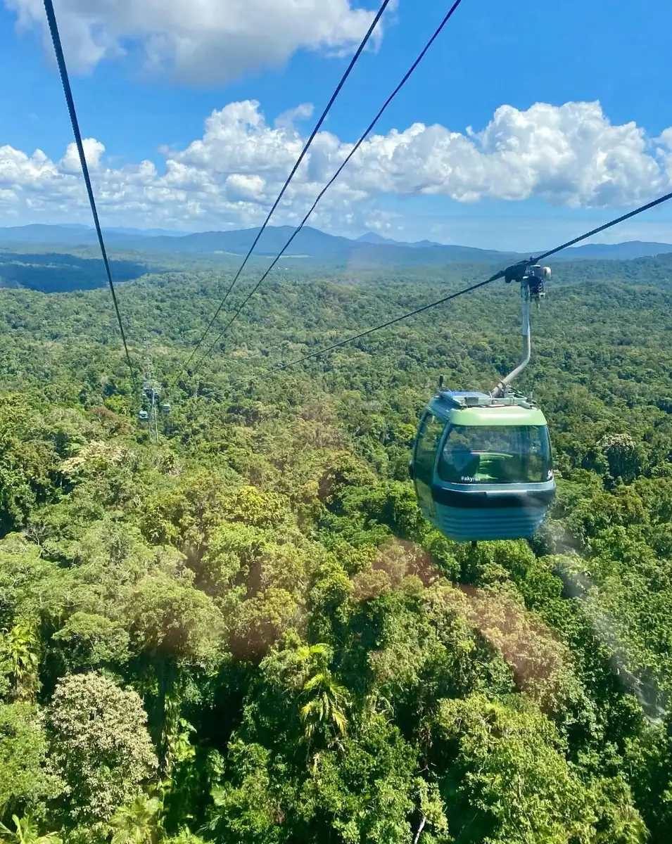 icydays | Escape To Kuranda