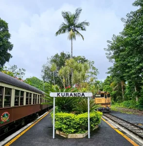 icydays | Escape To Kuranda