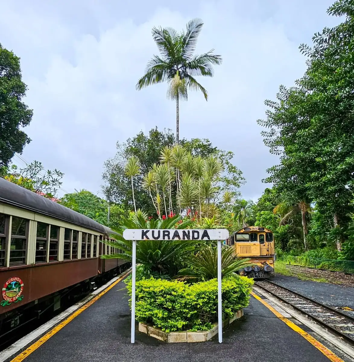 icydays | Escape To Kuranda